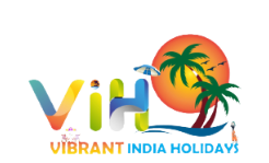 Vibrant India Holidays